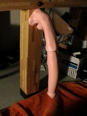 Horsecock 001.JPG